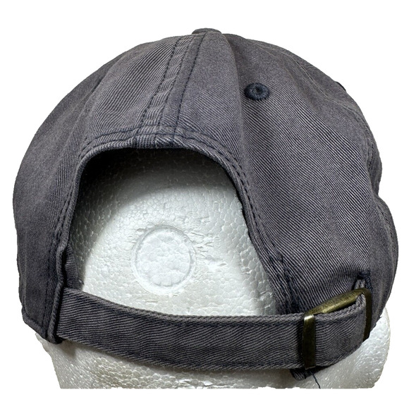 Boston Red Sox Twin Enterprises Baseball Hat Crossed Bats 1901 Dad Hat OSFA VTG - Picture 8 of 10